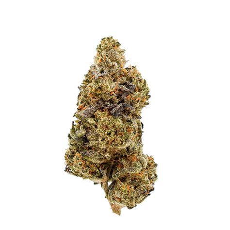 og pie breath strain|Arizona Organix: OG Pie Breath